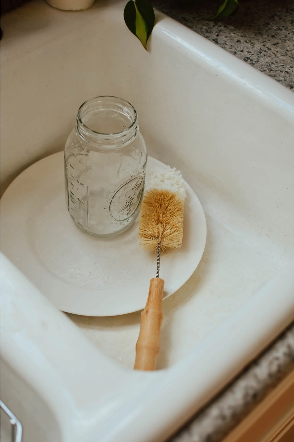 Zero Waste Biodegradable Dish Brushes
