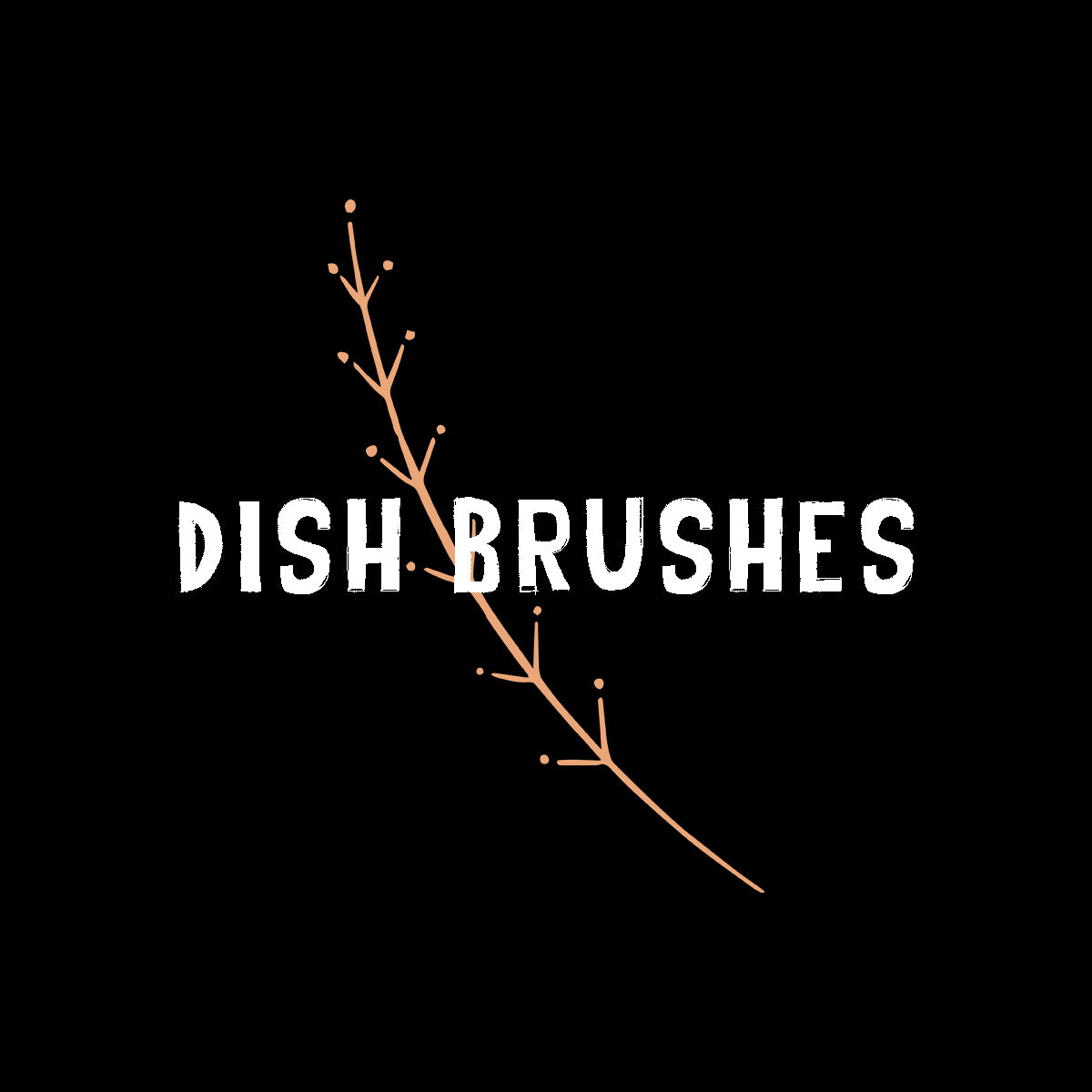 Zero Waste Biodegradable Dish Brushes